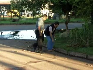 Jornal Local - Tiroteio Casa Park