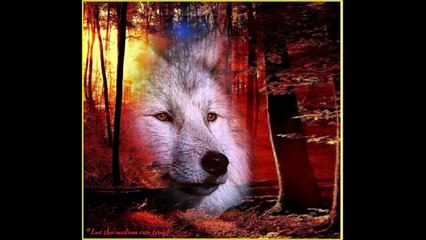 Bright Eyes ........ Simon & Garfunkel