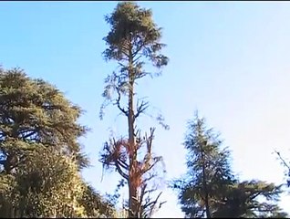 Touche pas aux magots