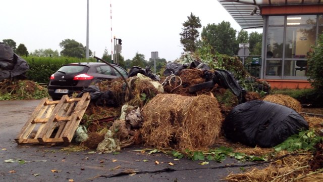 Les agriculteurs déversent du fumier