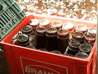 Jornal Local - Dengue