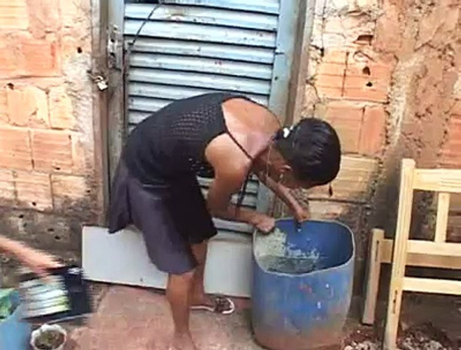 Jornal local: Dengue Itapoa