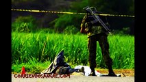 Morelos  Un edén para el narcotráfico