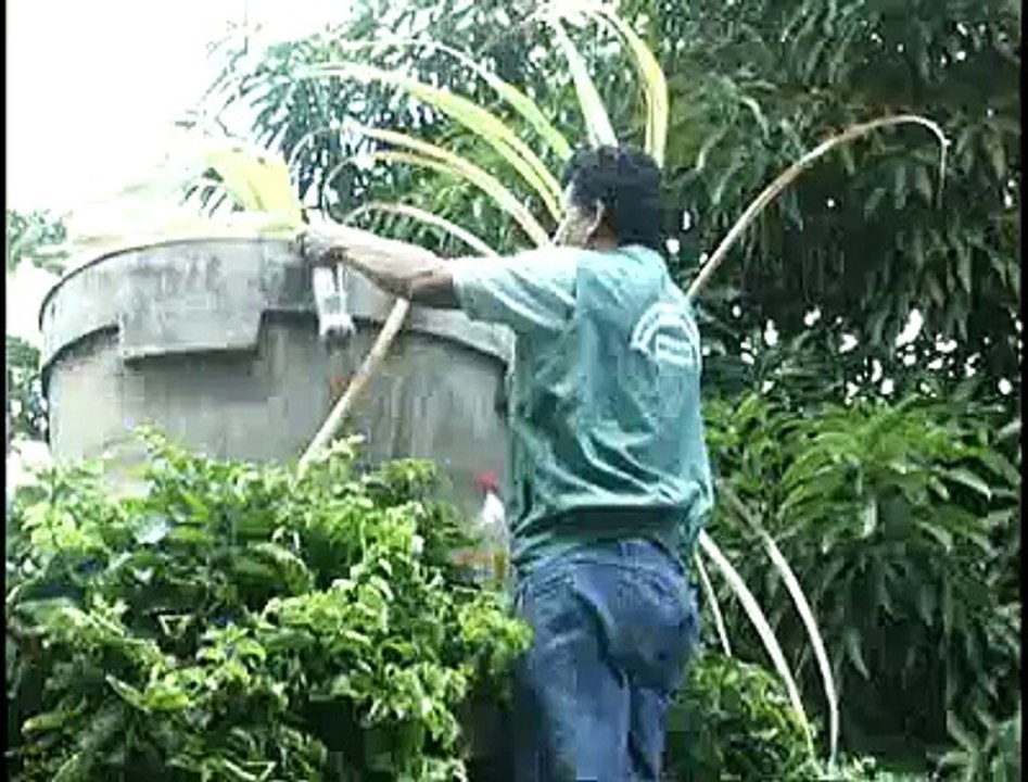 Jornal local: Multa dengue