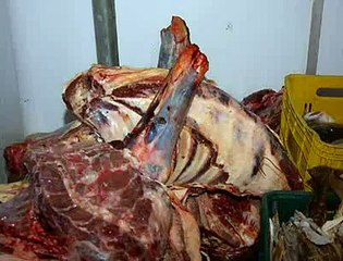 Jornal Local - Operação alimentos