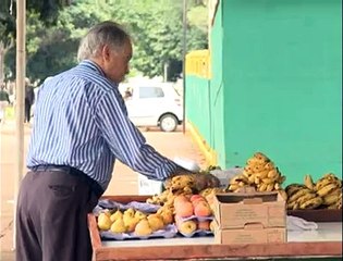 Jornal local: Camelô esplanada