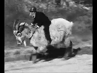 Monkey Riding Goat - Loop of Death