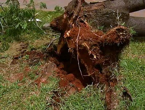 Jornal local: Chuvas Planaltinas