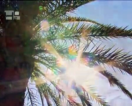 LEvangile de dimanche 5 avril 2009