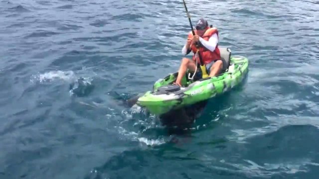 Il pêche un requin plus gros que son kayak qui le fait chavirer