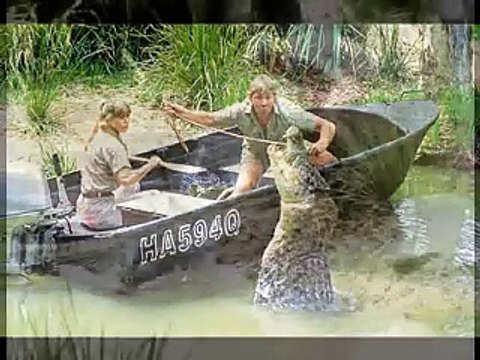 Crocodile Rock: Steve Irwin Tribute