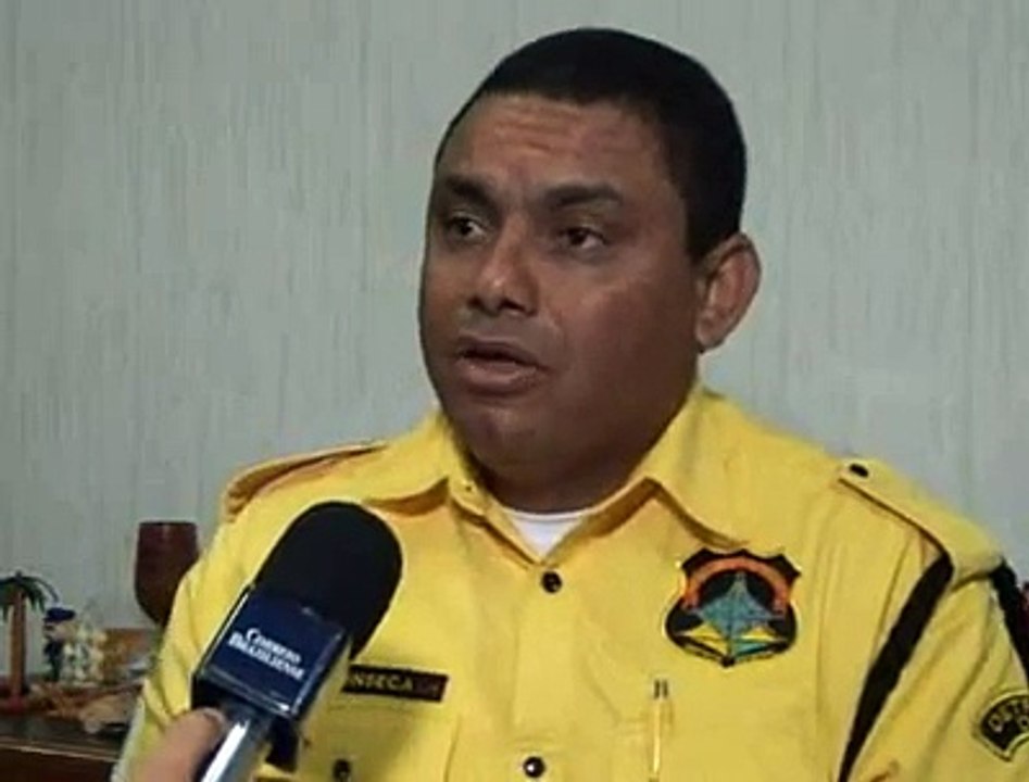 Jornal Local - Faixa de pedestre