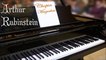 Arthur Rubinstein - CHOPIN MAZURKAS - Best Classical Music Playlist