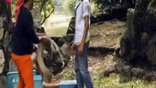 Crazy Guy Kissing A Snake Amazing