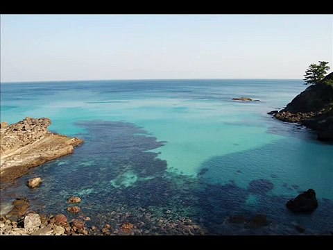 Julien Clerc - Les Jours de Joie