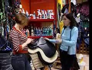 зачем лошади?