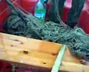 actiune ajvps sibiu impreuna cu jandarmeria sibiu