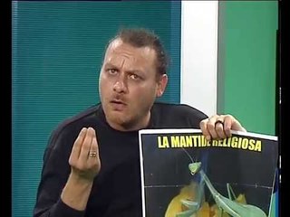 "La mantide religiosa" di Davide Ceddìa