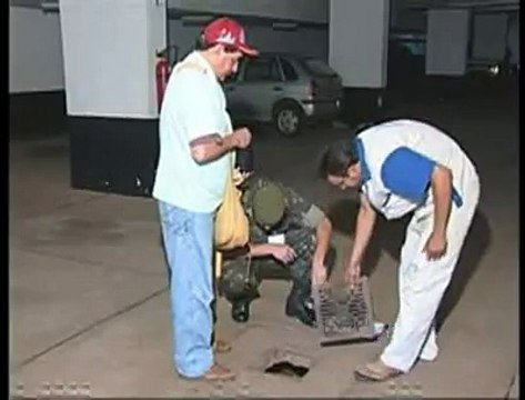 Jornal local: Dengue