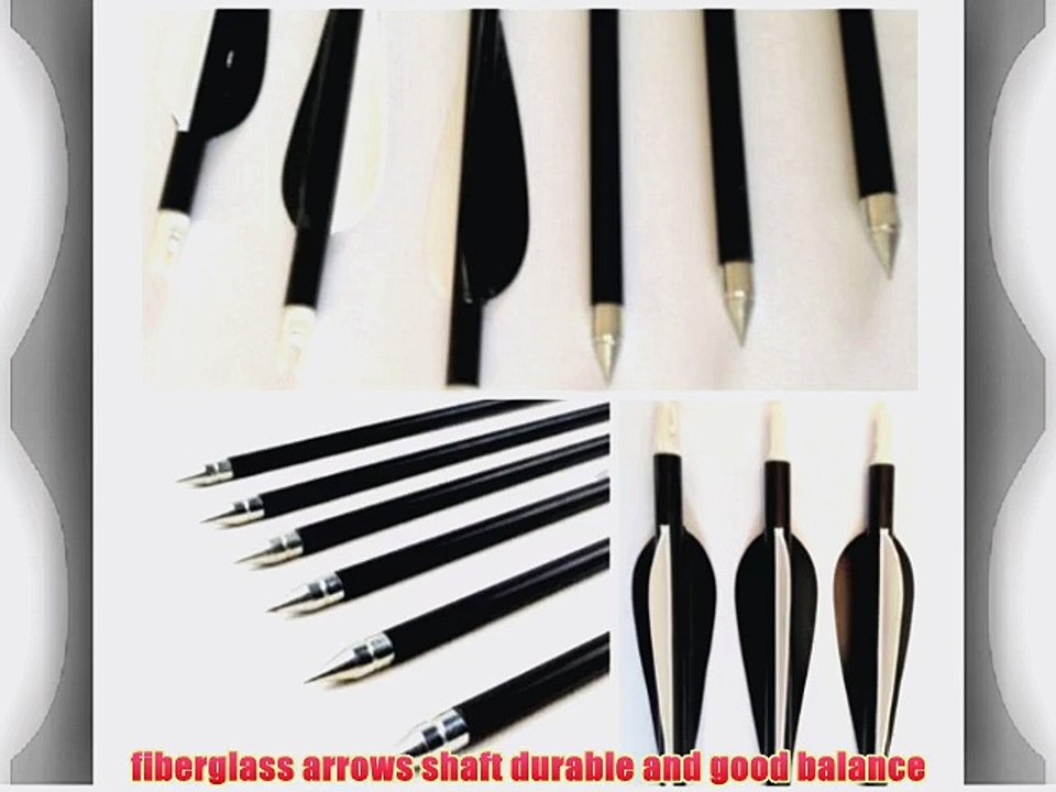 10 Hunting Arrow Hunter Nocks Fletched Arrows Fiberglass Target Practice Arrow 31.5 (BLACK