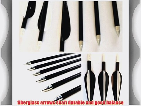10 Hunting Arrow Hunter Nocks Fletched Arrows Fiberglass Target Practice Arrow 31.5 (BLACK