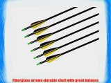 18PCS Fiberglass Arrows Target Practice/Hunting Arrow With Screw-in Stainless Steel Field Point