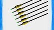 18PCS Fiberglass Arrows Target Practice/Hunting Arrow With Screw-in Stainless Steel Field Point