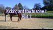 Horse Kicking, Solving the problem with Mike Hughes