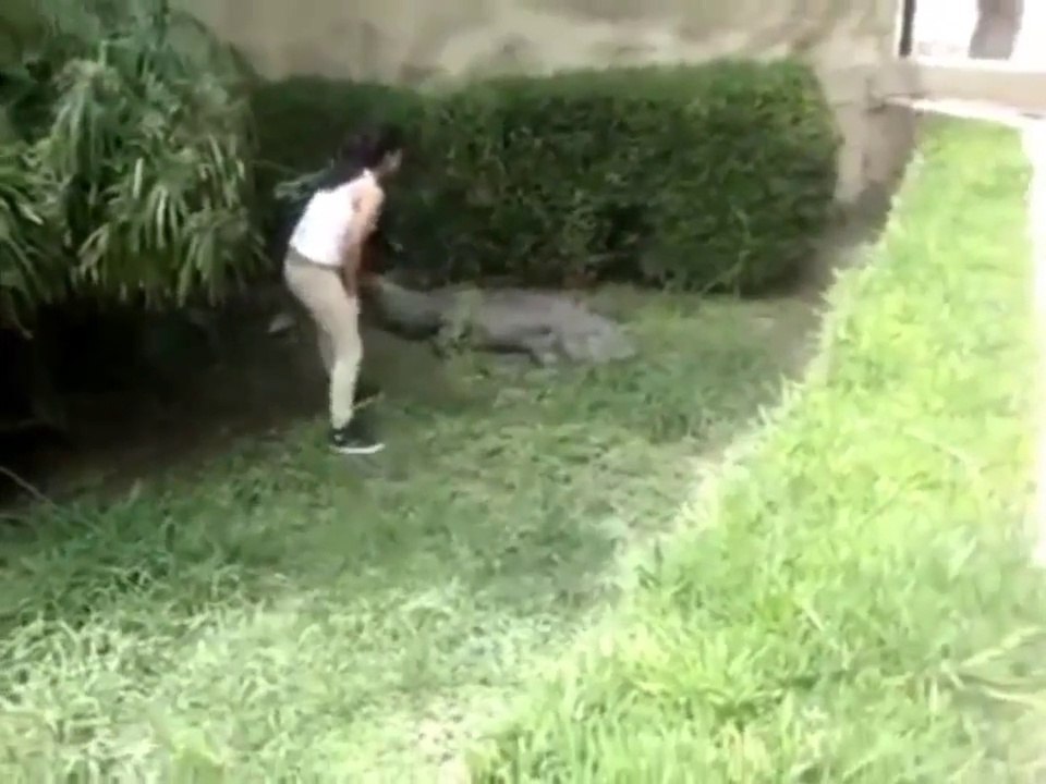 Elle va caresser un crocodile dans un zoo