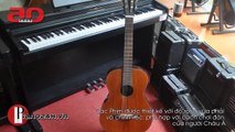 Guitar Classic Regal | Bán Đàn Guitar Classic Regal | piano24h.vn