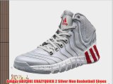 Adidas ADIPURE CRAZYQUICK 2 Silver Men Basketball Shoes