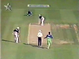 Wasim Akram toe crushing yorker to Danny Morrison 1994