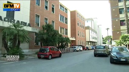 La peste de l'olivier continue de progresser en Europe