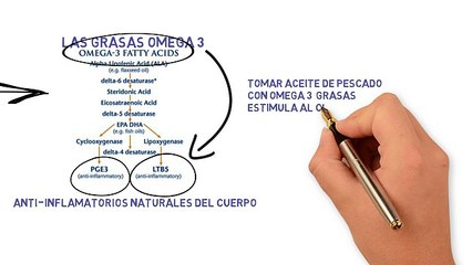 Elaboracion De Aceite De Pescado  Artritis