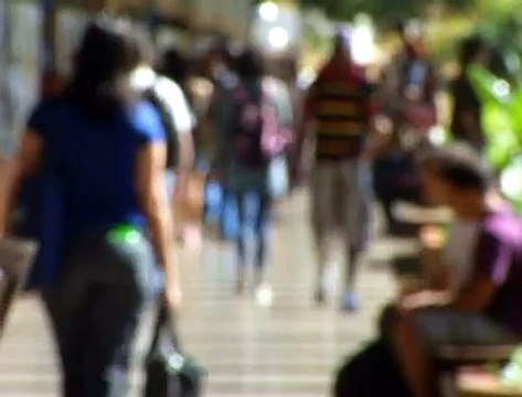 Jornal local: Passe livre