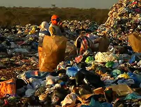 Jornal Local: lei lixo