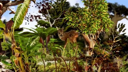 Kaffeeanbau und Waldschutz in Peru | Globale Zusammenarbeit