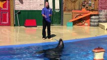 Sea Lion & Otter Informational Presentation SeaWorld San Diego 3-25-15