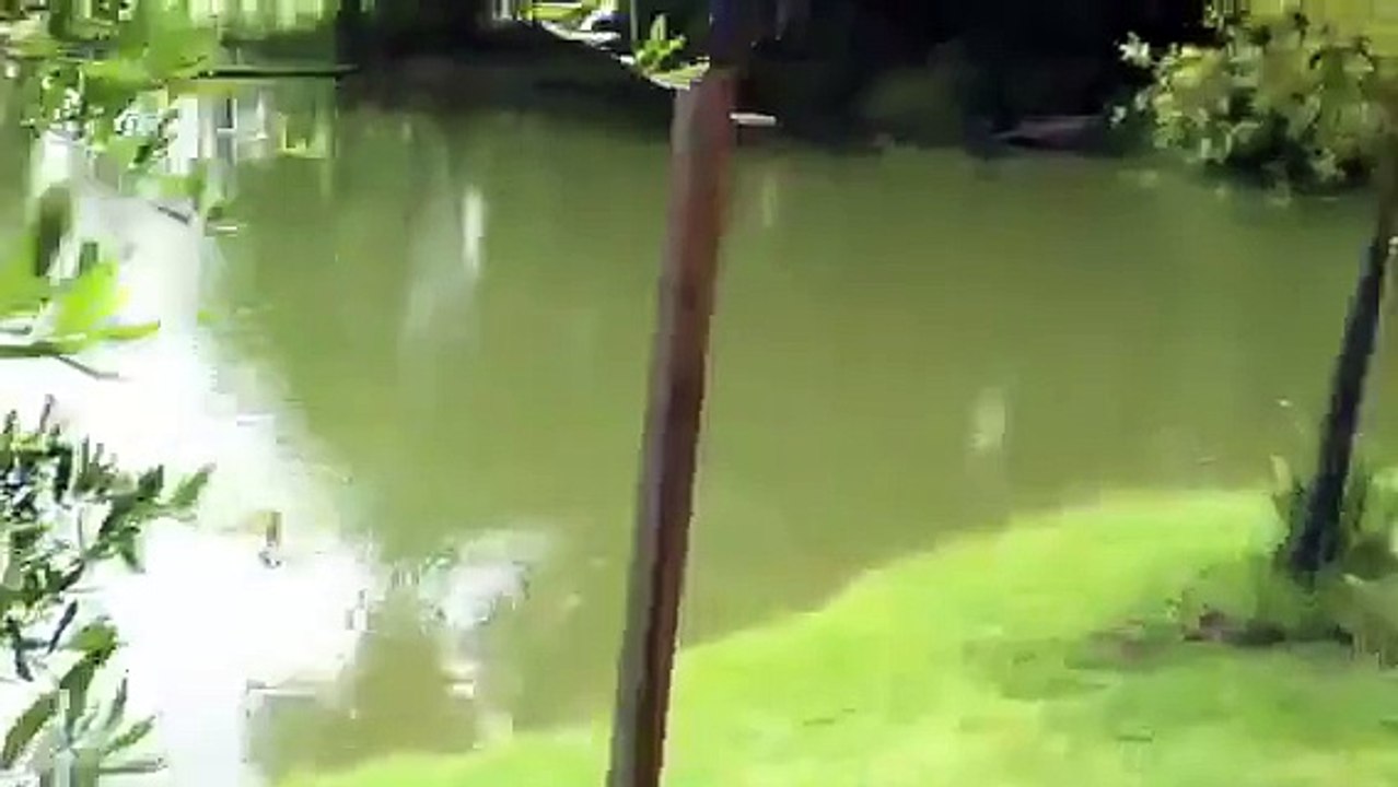 Real Life Sea Monster