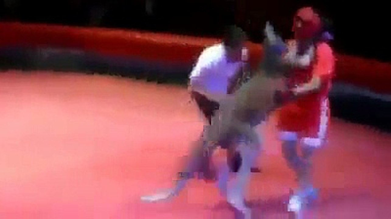 Funny.mp4