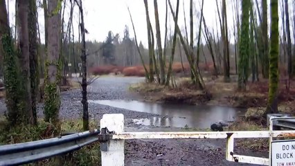 Oregon, river rock hounding