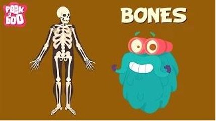 Bones | The Dr. Binocs Show | Learn Series For Kids