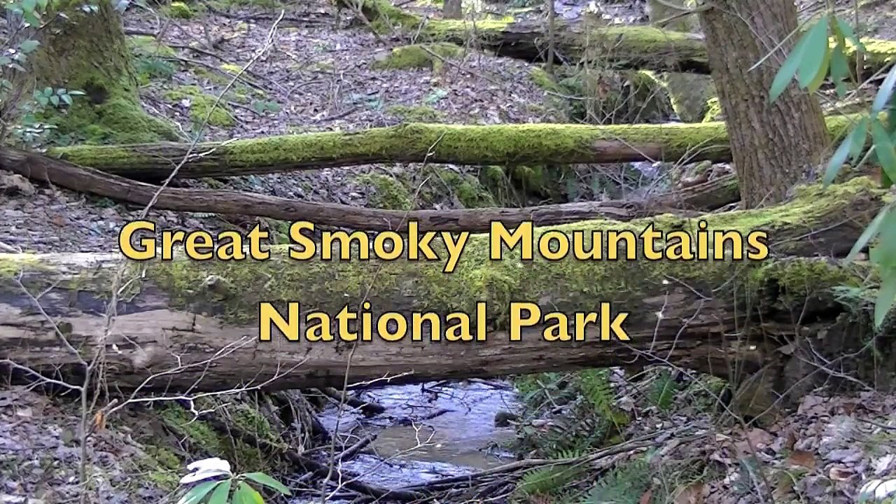 Fern Branch Falls, Porters Creek Trail, Great Smoky Mountains NP