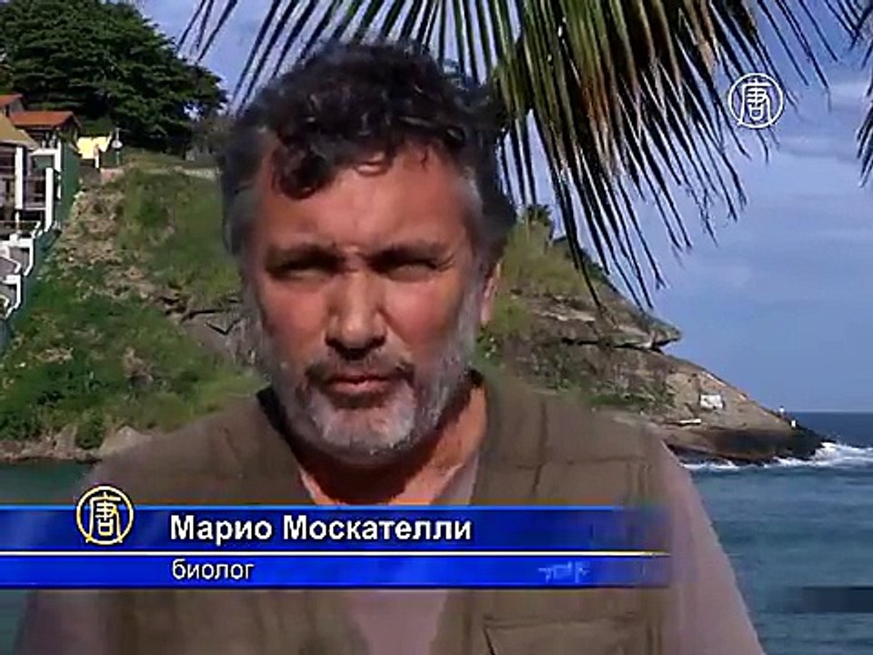 На очистку Гуанабара вышли экологичные лодки
