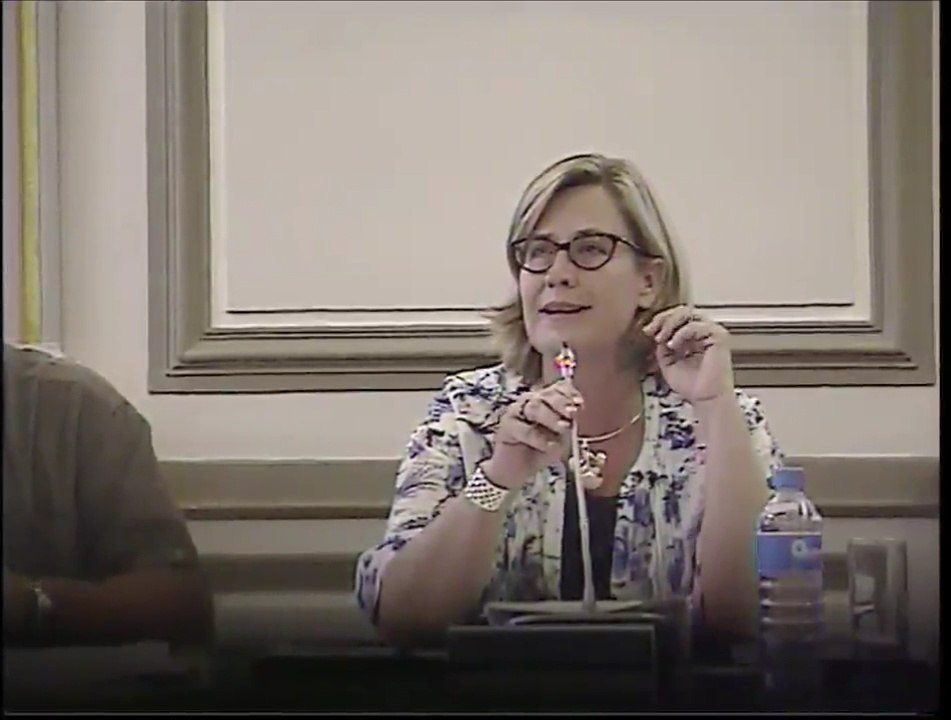 Conseil Municipal de Fécamp du 29 juin 2015