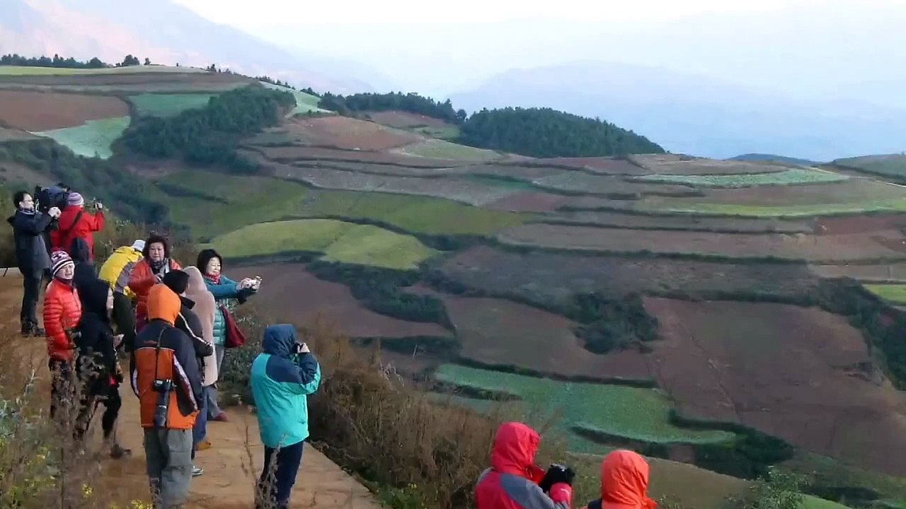 東川紅土地 錦繡園 Redland Jinxiuyuan 2012