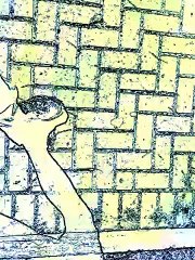 Vídeos by iPhone 4, cotidiano de uma caminhada, Taubaté, SP, Brasil, (69)