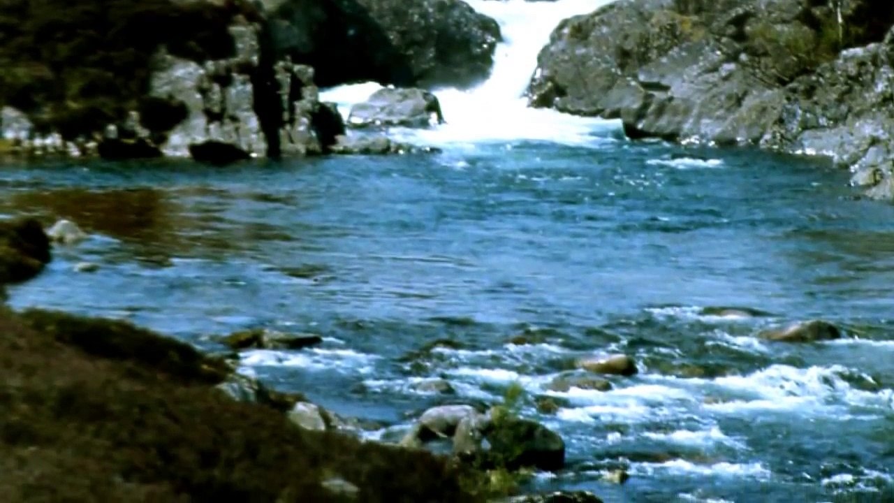 ENYA ~ Na Laetha Geal M'oige ~ (The bright days of my youth)