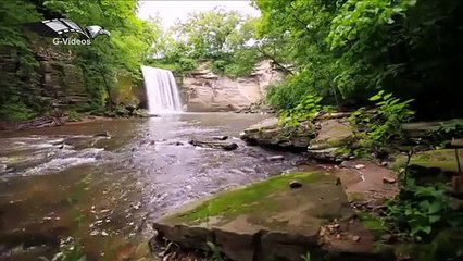 TRANSFORMAR TU VIDA, Wayne Dyer audiolibro