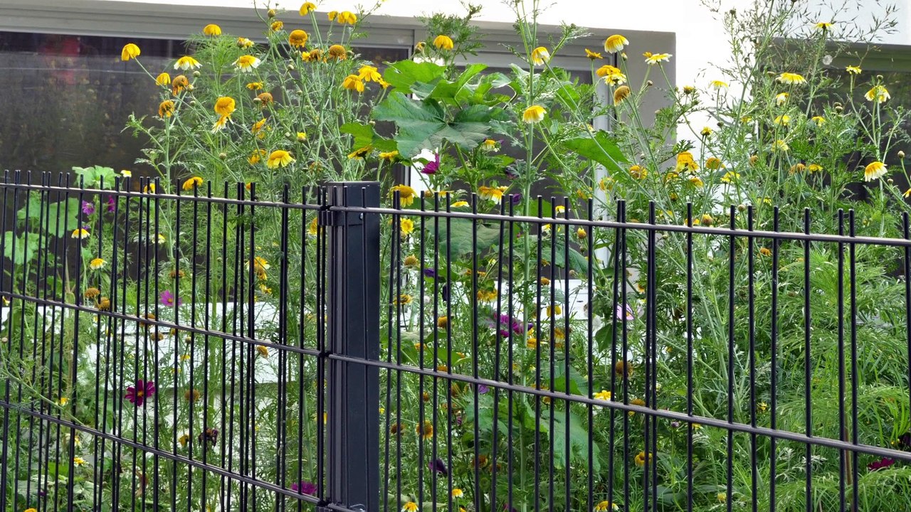 Clôture en panneaux rigides : innovation treillis soudé OOBAMBOO